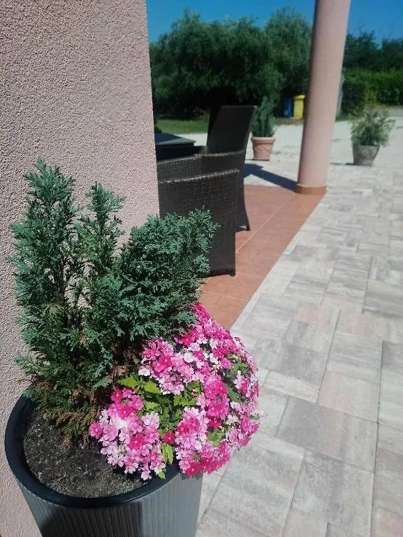 Apartment Mass Umag
